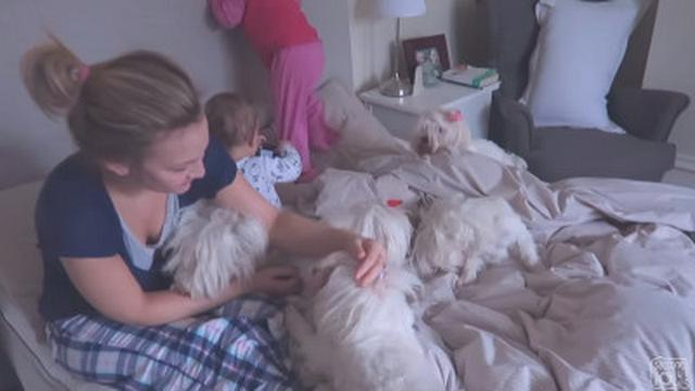 PUPPIES & BABIES IN BED!