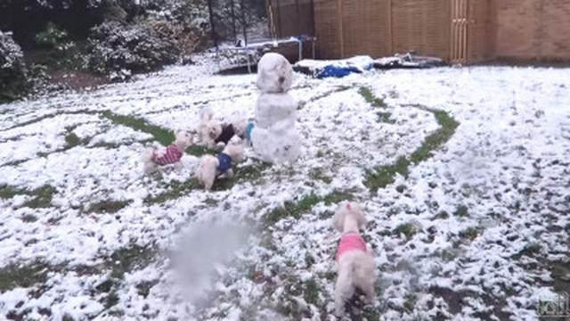 DO YOU WANT TO BUILD A SNOWMAN?!