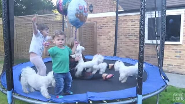 THE TRAMPOLINE CHALLENGE!