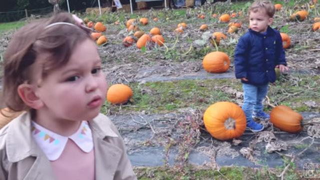 A PUMPKIN FOR THE BABY!