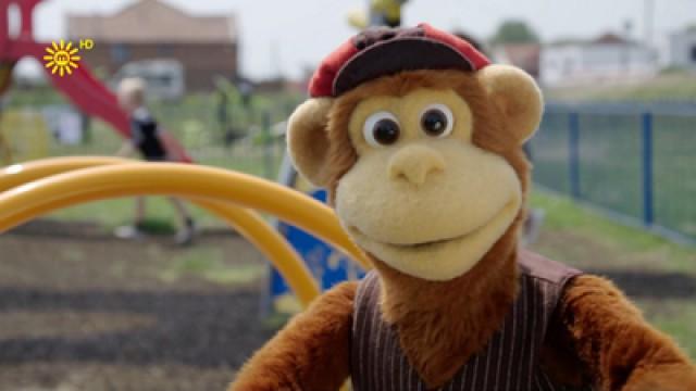 Do The Monkey Dance