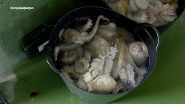 El ADN del pulpo