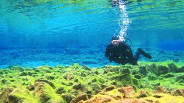 Diving Between the Continents (Silfra, Iceland)