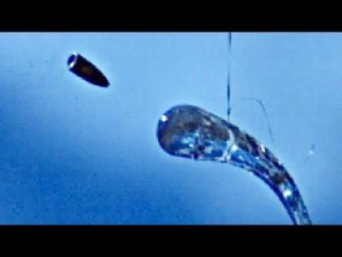 BIGGER BULLET BEATS Prince Rupert's Drop? (at 223,000 FPS)