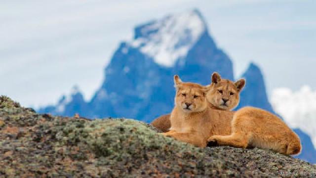 Fire and Ice