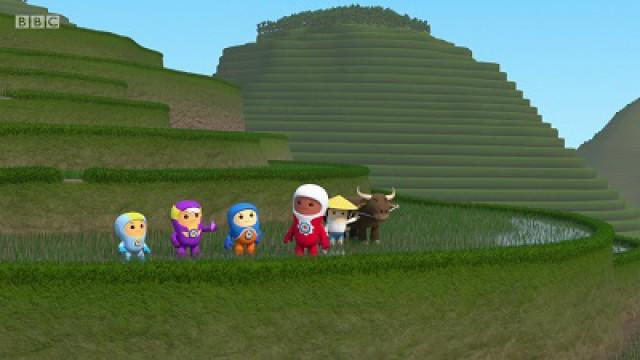 The Paddy Fields of China