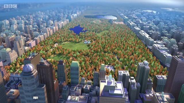 Central Park, New York