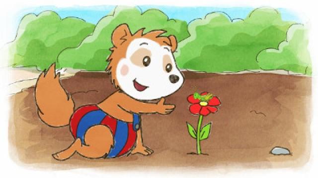 Bobo's day in the garden