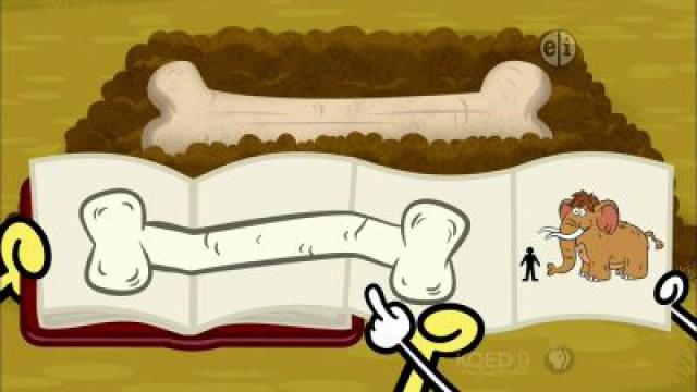 Daisy’s Colossal Fossil
