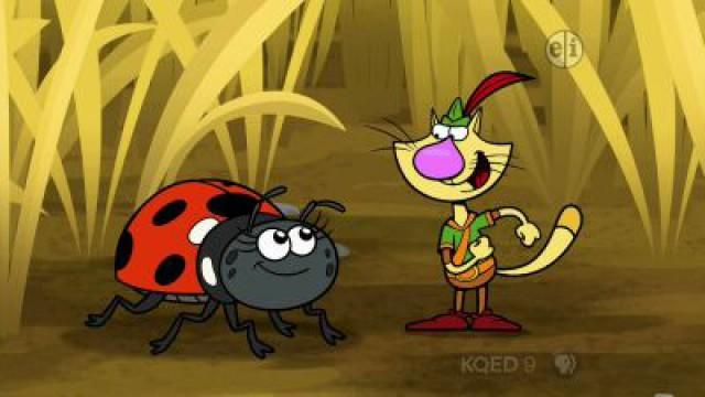 Lady Bug Tough