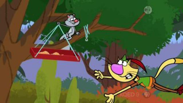 Stop That Squirrel