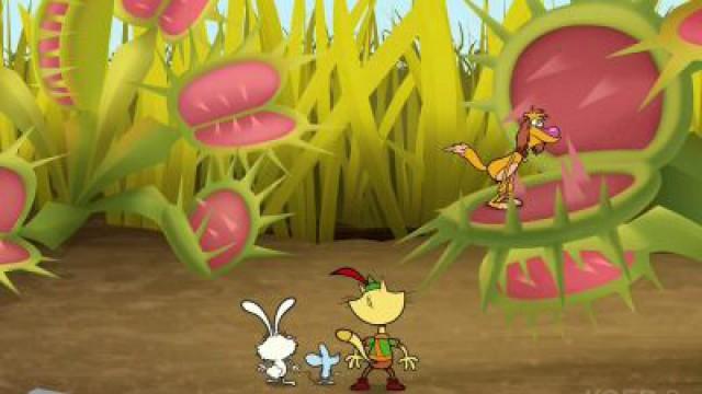 Bug Eating Plants