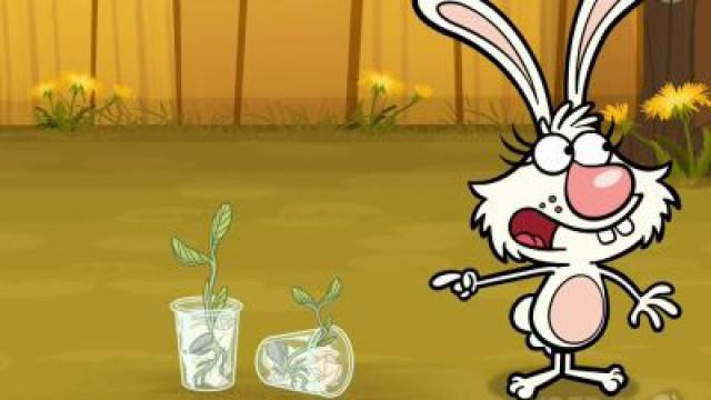 Plants Got the Moves