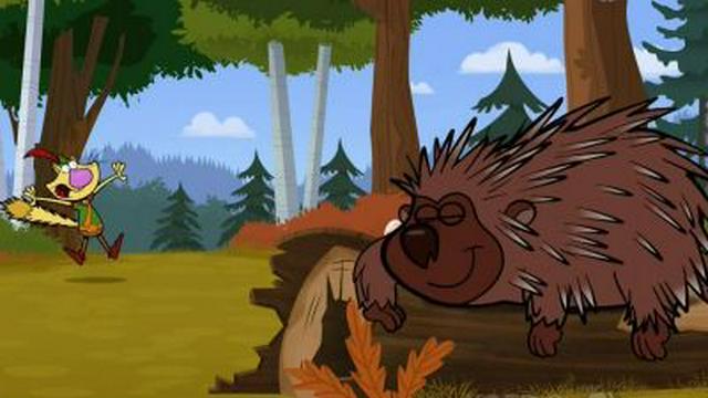 A Prickly Problem