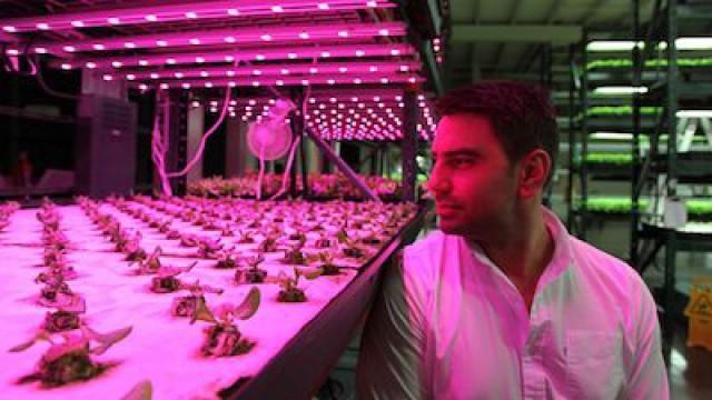 Greenhouse, Senses and Weather