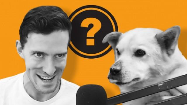 OUR NEW MASCOT?