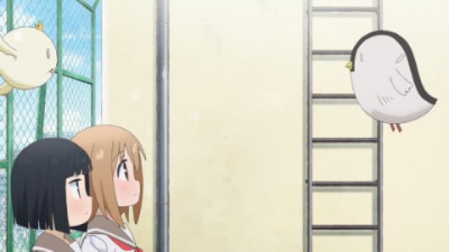 Would You Like to Admire and Appreciate Yuzuka with Me?