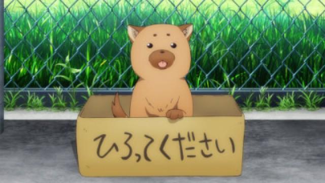 Feed a Dog for Three Days and He Will Remember It for Three Years