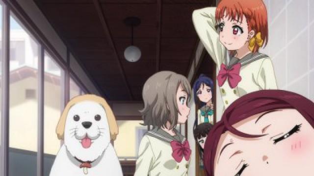 Prendere un cane