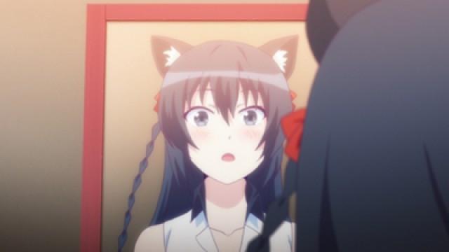 にゃんにゃん♪ハユルん日記