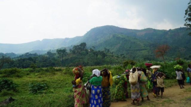 Cannabis in Congo