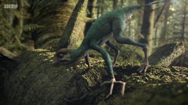 Pióro z ogona Epidexipteryxa