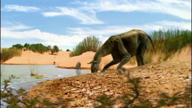 Odcisk Paraceratherium