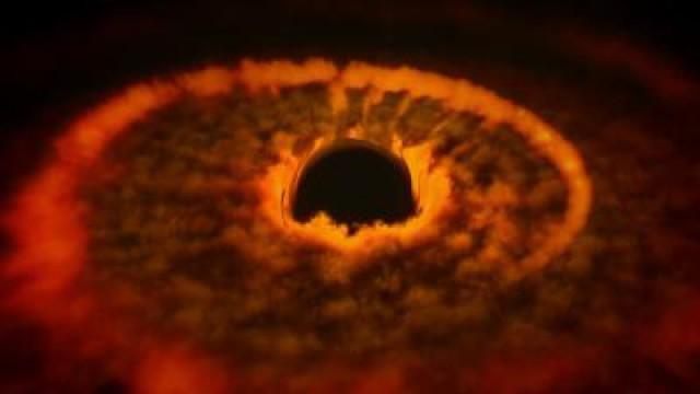 Black Holes: The Einstein Prophecy
