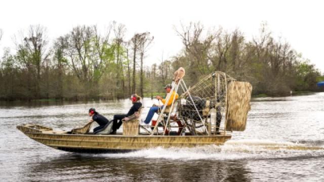 Louisiana: Crescent City
