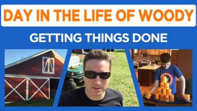 Chopping Wood, Colin Update, Stable Update