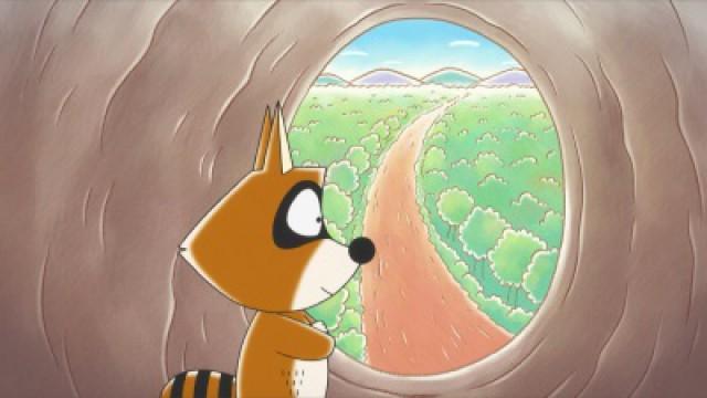 Raccoon Looks for a House