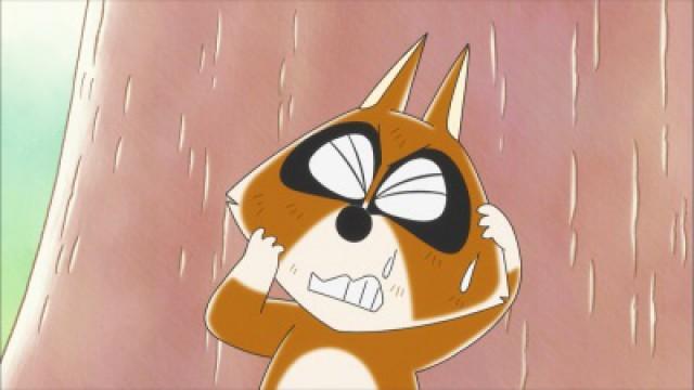 Raccoon Makes Up His Mind Again
