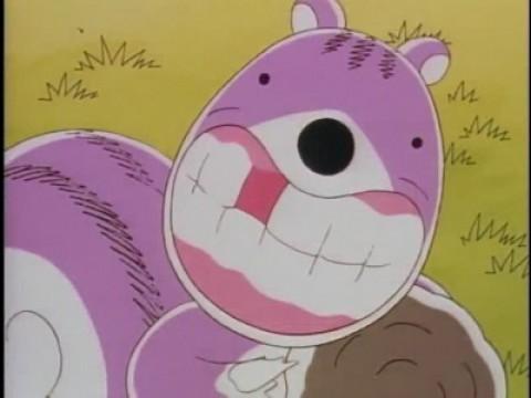 Chipmunk's Tooth Fell Out