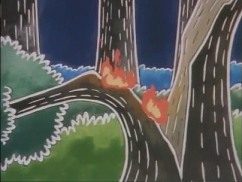 What is Fire?