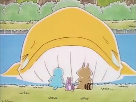 The Lost Baby Whale