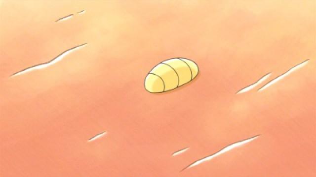 About Minna Bugs