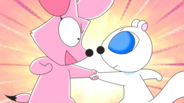 Popo's Challenge