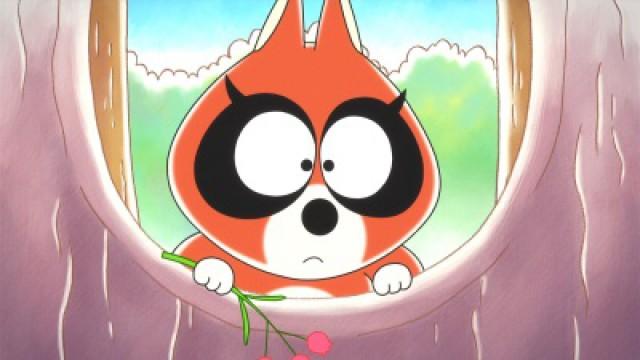 Raccoon's Mother