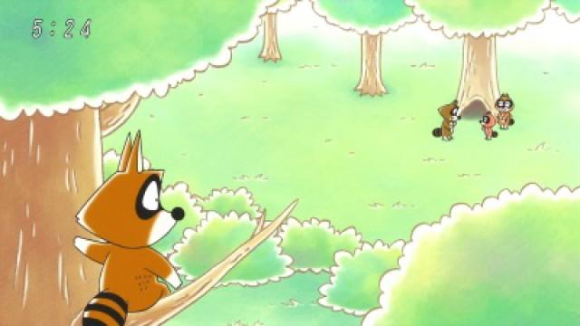 Raccoon in Love