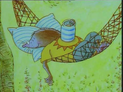 The Hammock