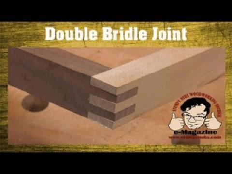 Table Saw Lesson - How to cut a double bridle joint