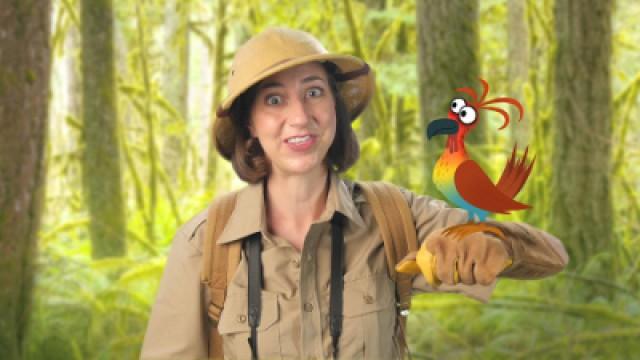 Quanti tipi di animali ci sono?