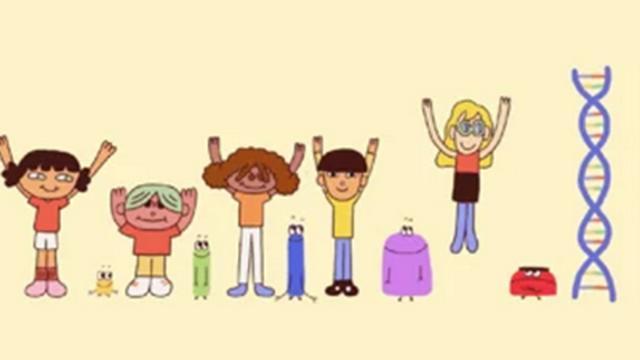 Perché le persone hanno facce diverse?