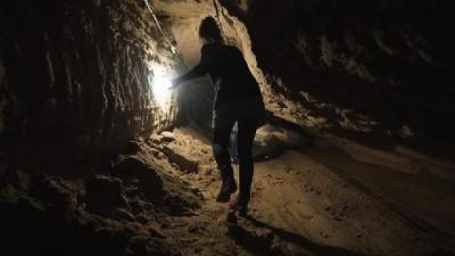 The Tunnels of Gaza