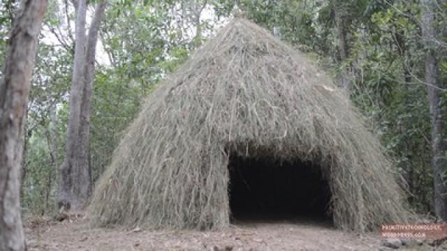 Grass hut