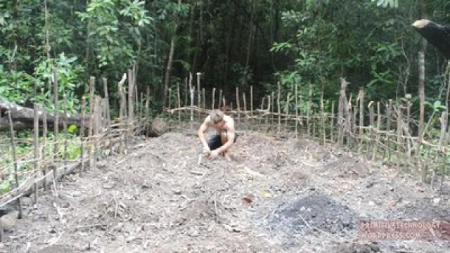 Planting Cassava and Yams