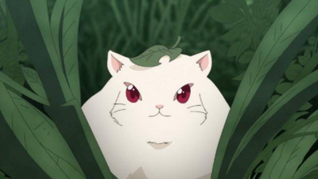 Kodama Nezumi