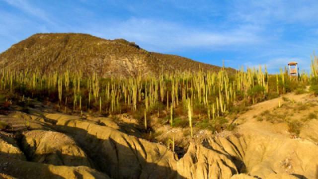 Tehuacàn → Zapotitlàn Salinas