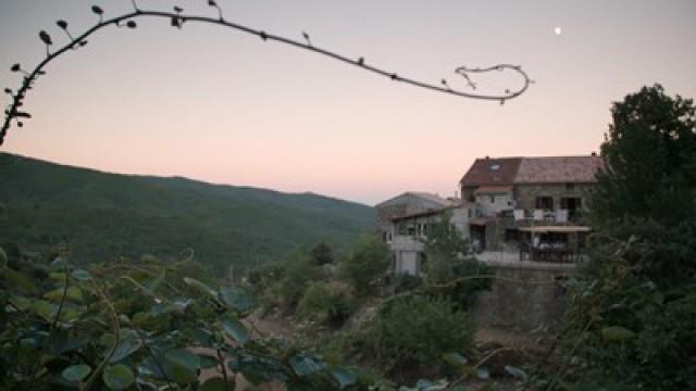 Les miels d'exception de la Corse
