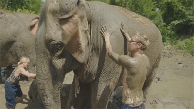 Globetrotters, Episode 6 - Going Wild in Thailand